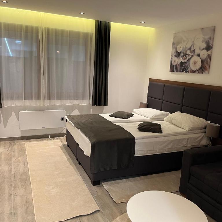 Apart Hotel & spa Zoned II, Kopaonik, apartman Lukač - special benifit Children up to 17 of age accompanied by two adutls staj for free! FREE PARKING! - Deluxe King Studio - 11