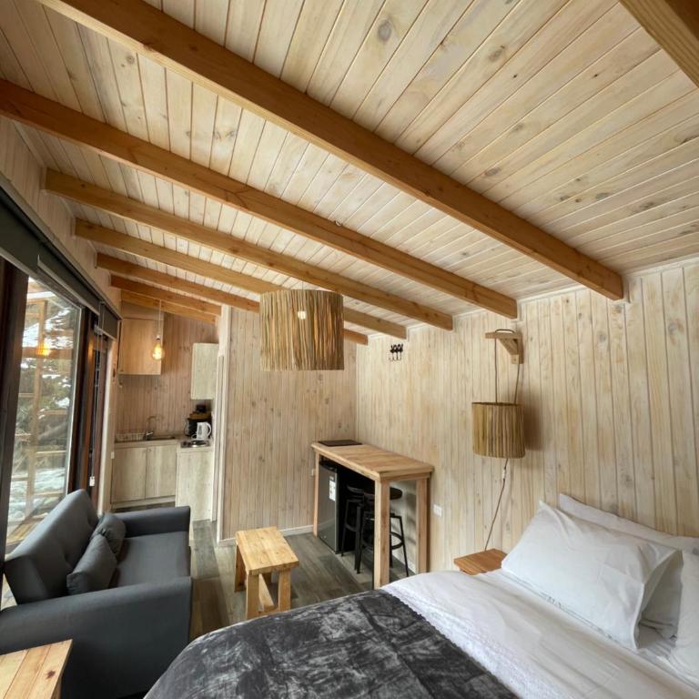 Cabañas Los Huemules - Family Studio - 2