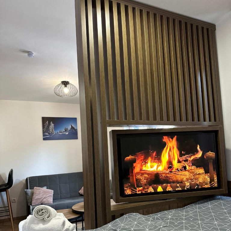 Apartman 'Winterfell' Jahorina - Apartman sa 1 Spavaćom Sobom - 12