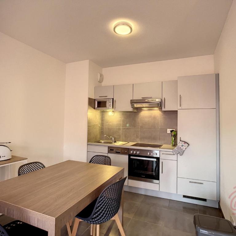 Appartement F2 climatisé avec parking, Wi-Fi, animaux acceptés, proche centre et Thermes - FR-1-451-113 - Appartement 1 Chambre - 7