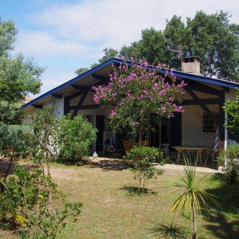 Grande maison landaise près du port de Capbreton, 4 chambres, jardin, animaux admis - FR-1-413-232 - Maison de Vacances - 1