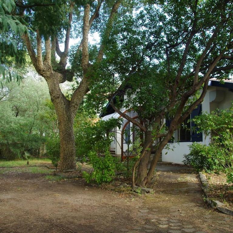 Grande maison landaise près du port de Capbreton, 4 chambres, jardin, animaux admis - FR-1-413-232 - Maison de Vacances - 4