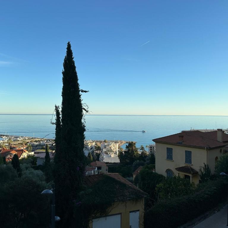 Le Vigia-vue mer-terrasse-climatisation-parking - Monolocale - 32