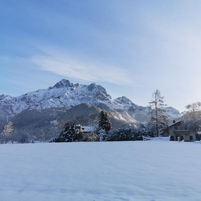 Holiday on an organic farm near ski slopes - Appartement 2 Chambres - 30