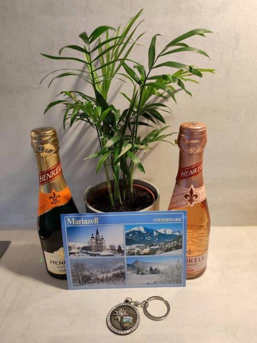 Eni-Time Mariazell mit Jakuzzi und Sauna - Appartement 1 Chambre - 23