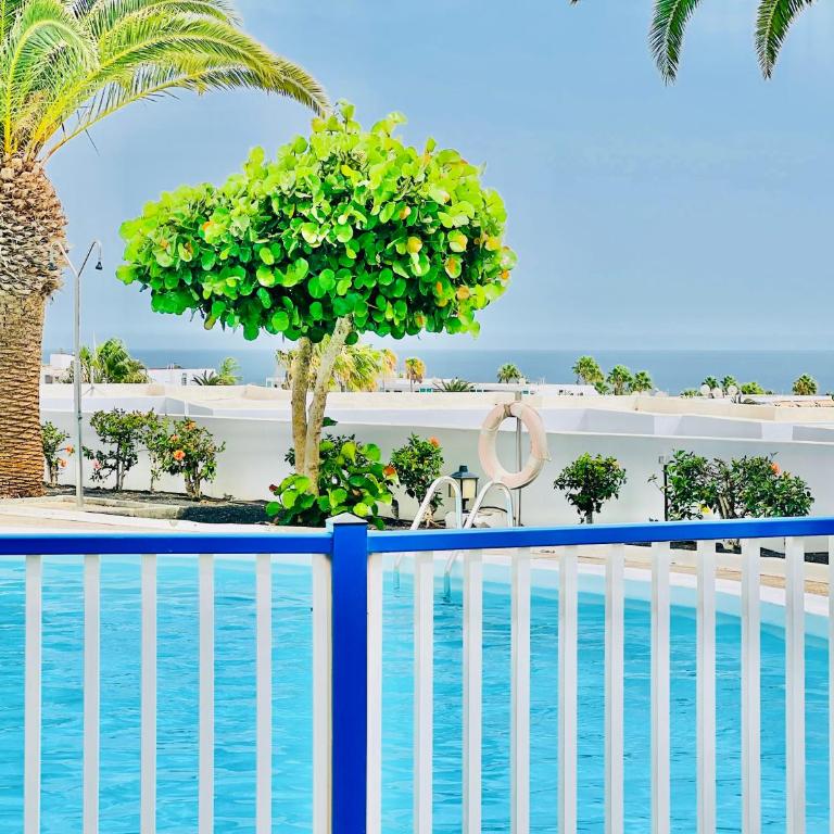 Canaryislandshost l Amapola - Apartamento con vistas al mar - 24