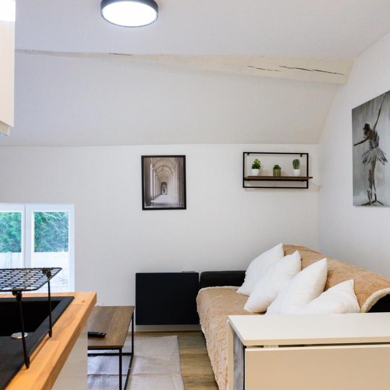RAPHAEL - Appartement 1 Chambre - 1