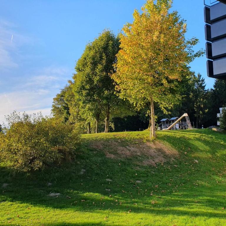Ferienwohnung Winklworld 2 mit Hallenbad und Sauna inklusive aktivCARD - Apartment mit 1 Schlafzimmer - 19