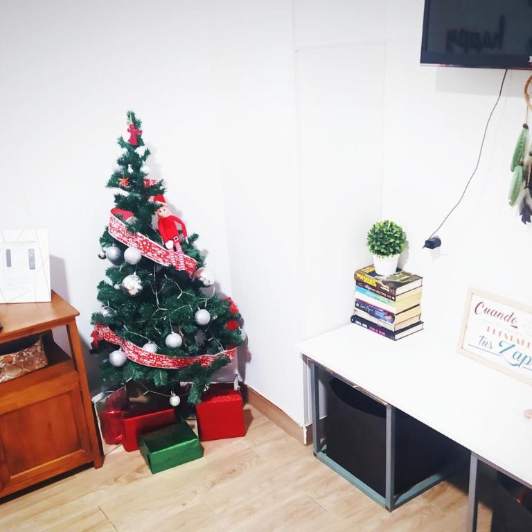 La Magdalena 3 - Loft - 14