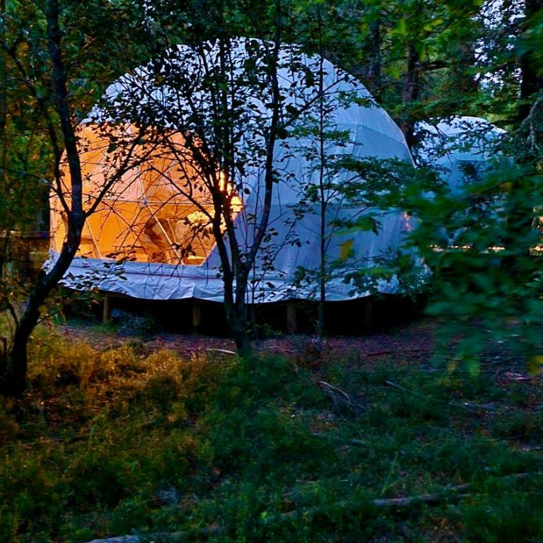 Llaimadomo - Double Room with Mountain View - 3
