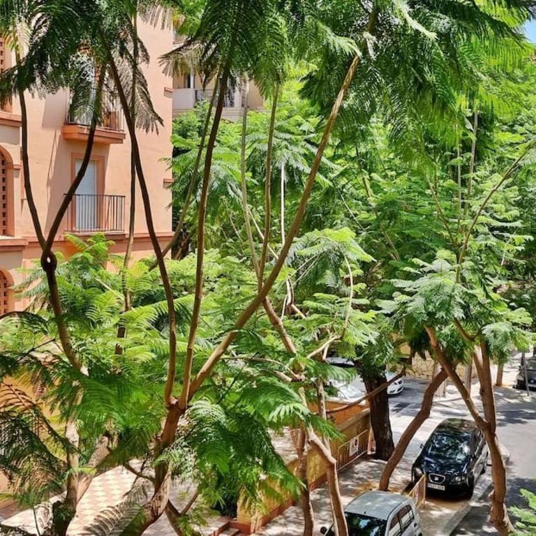 Acogedor apartamento en playa de los boliches - One-Bedroom Apartment - 4