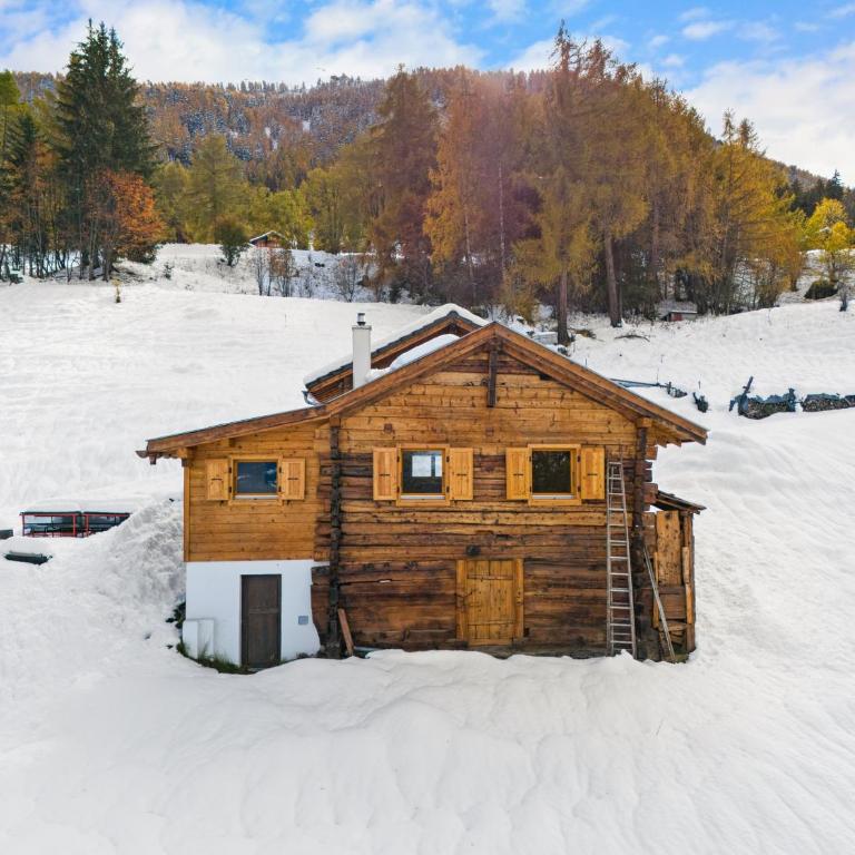 Les Morilles - 5 pers - authentique - sur les pistes - Chalet - 2