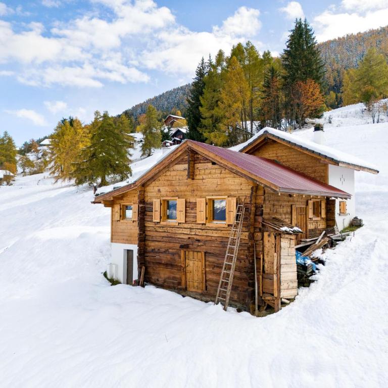 Les Morilles - 5 pers - authentique - sur les pistes - Chalet - 22