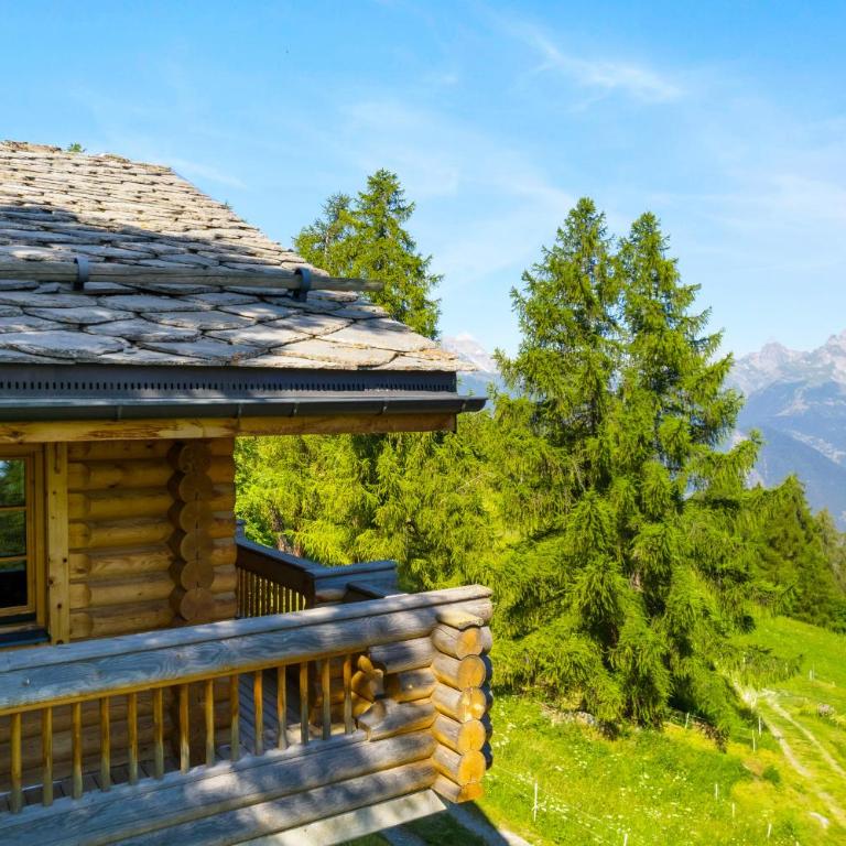 AlpenRose - 8 pers - avec cachet -pres des pistes - Chalet mit 3 Schlafzimmern - 40