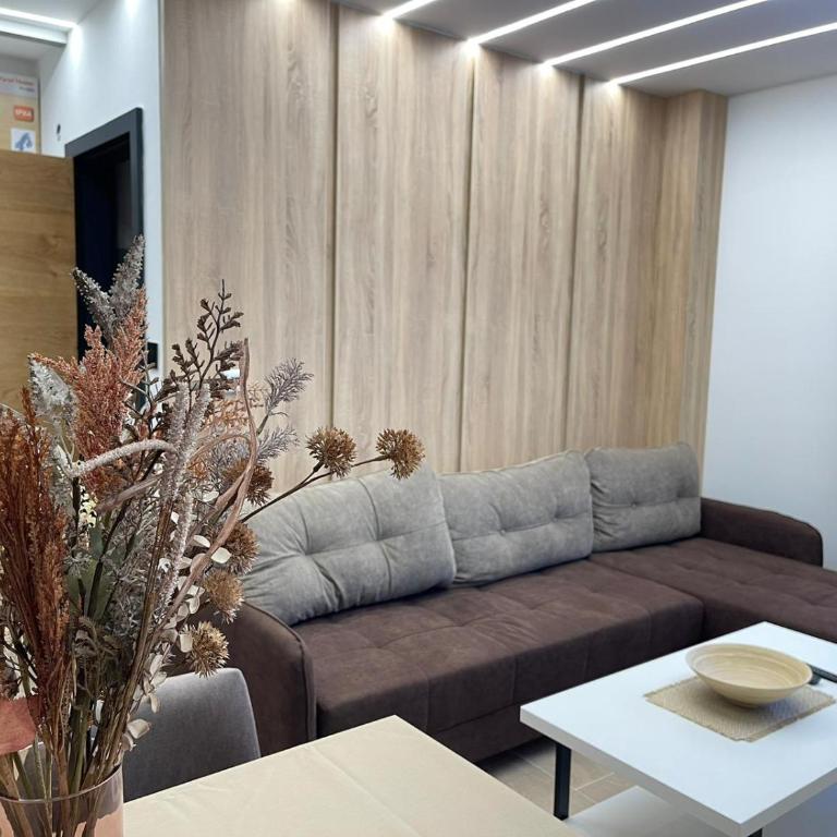 Sky Lux Apartments - Apartman sa 1 Spavaćom Sobom - 3
