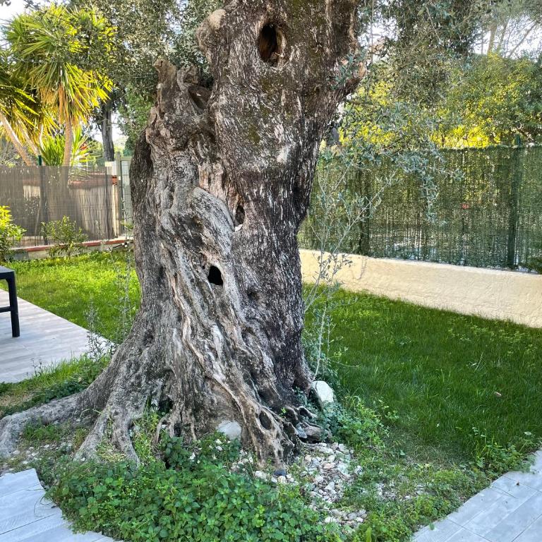Joli Rez de jardin 4 pièces à Cagnes sur Mer - Apartamento de 3 dormitorios - 25