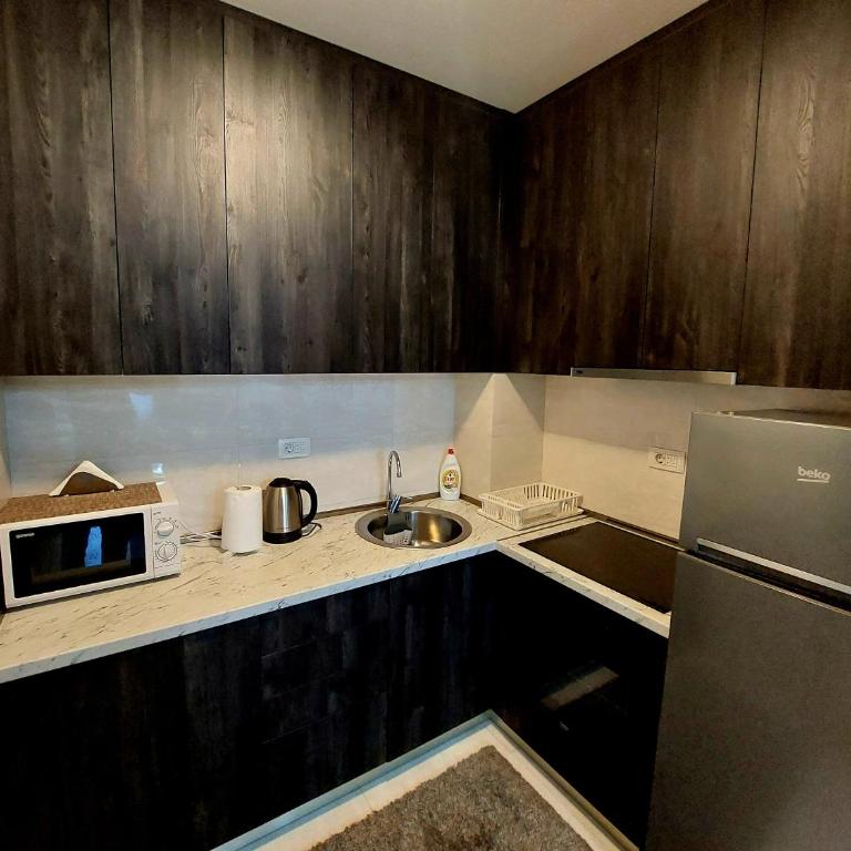New York - Central Point - Apartman sa 1 Spavaćom Sobom - 4