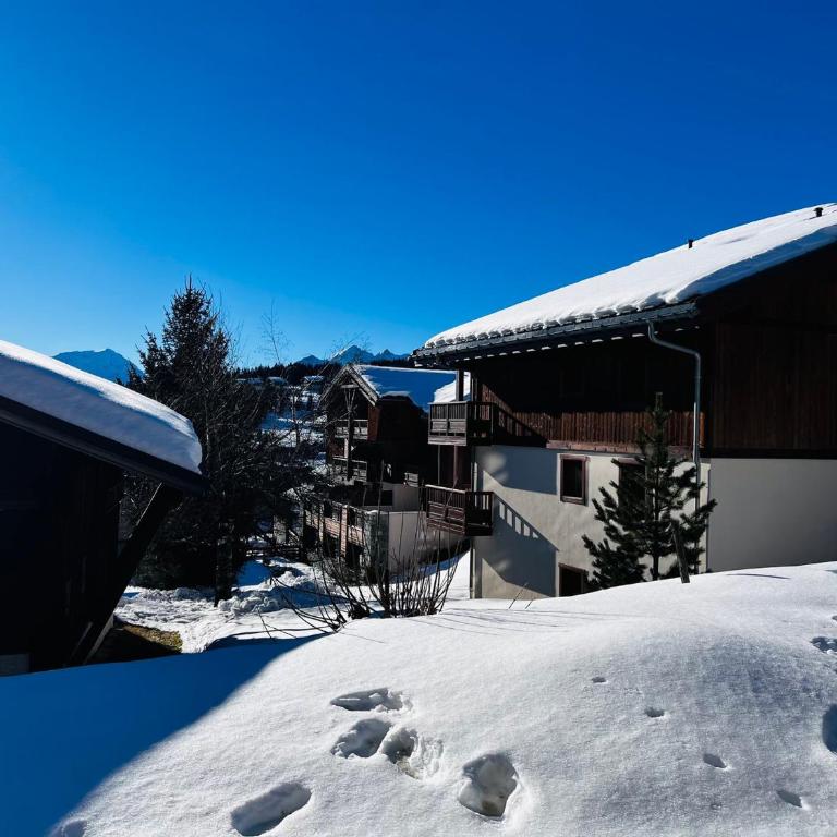 Charmant Appartement aux Saisies - 34m², 4 Pers, Terrasse Sud, Proche Pistes et Commerces - One-Bedroom Apartment - 17