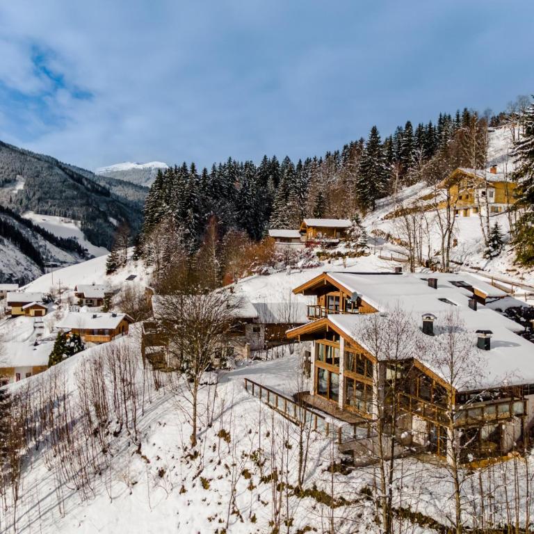 Chalet VIE - Chalet - 49