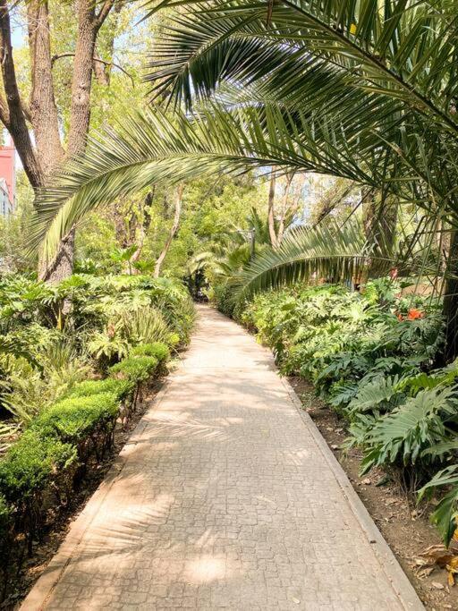 Suite Chic HCondesa - Apartamento de 1 dormitorio - 7
