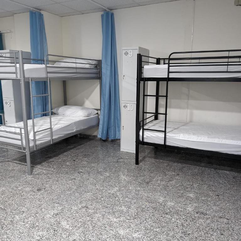 Hoomy Hostel - Single Bed in Dormitory Room - 1