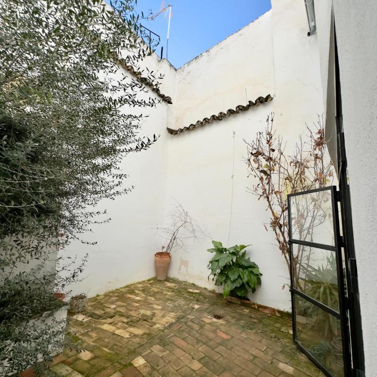 DS Palacio de la Luna - Casa de 6 dormitorios - 66