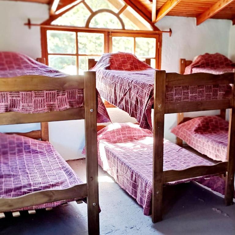 Hostel,Dormis y Camping Costa Bolsón - Single Bed in Mixed Dormitory Room - 2
