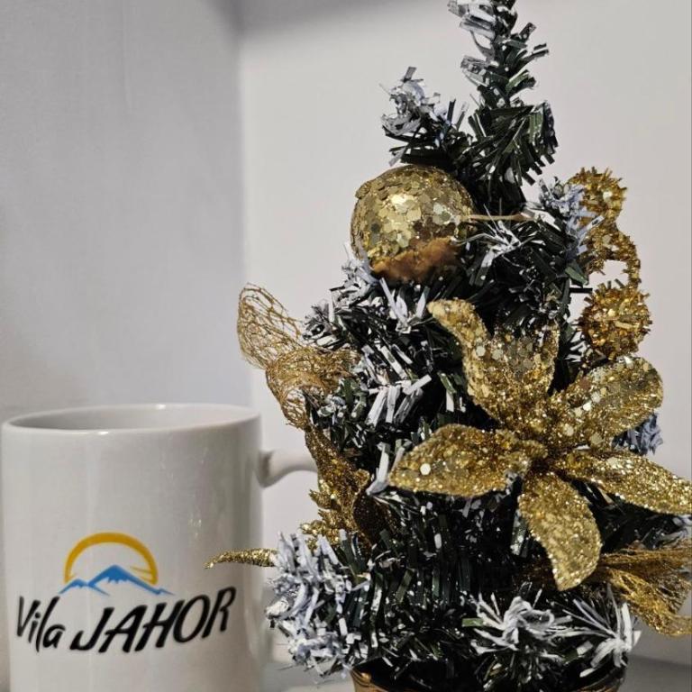 Vila Jahor - Apartmani Trifković - Apartman sa 1 Spavaćom Sobom - 23