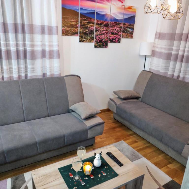 Apartman Petra Zlatibor - One-Bedroom Apartment - 39