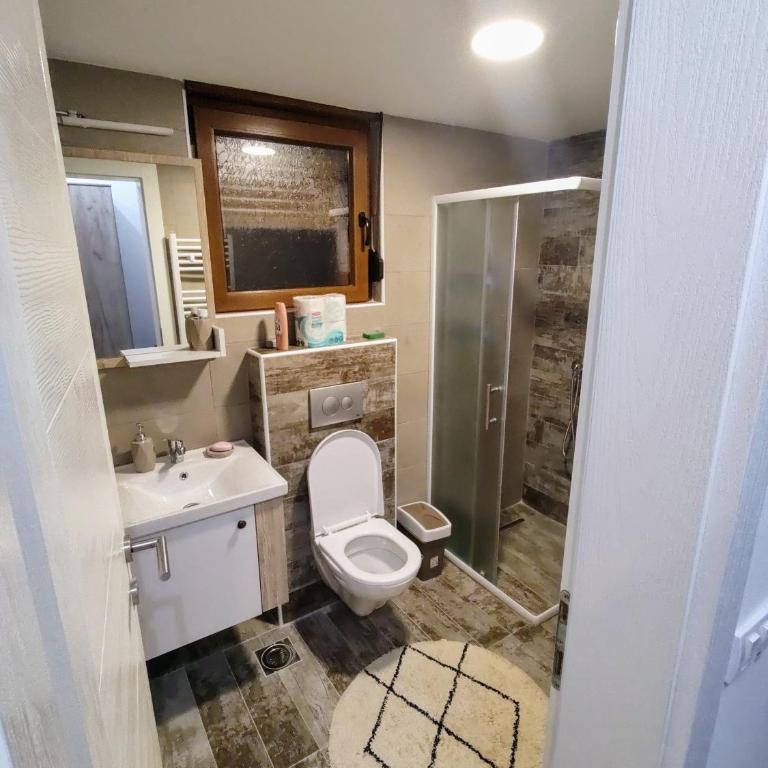 Apartman Petra Zlatibor - One-Bedroom Apartment - 26