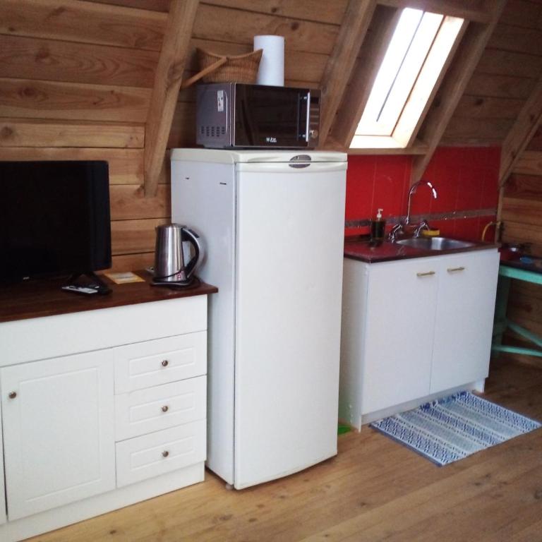 Linda cabaña en Puyehue con vista al volcán - Apartamento de 2 dormitorios - 4