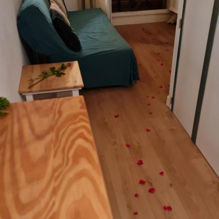 Splendide appartement GOLDEN HOUSE vue LAC et montagne - Appartement 1 Chambre - 6