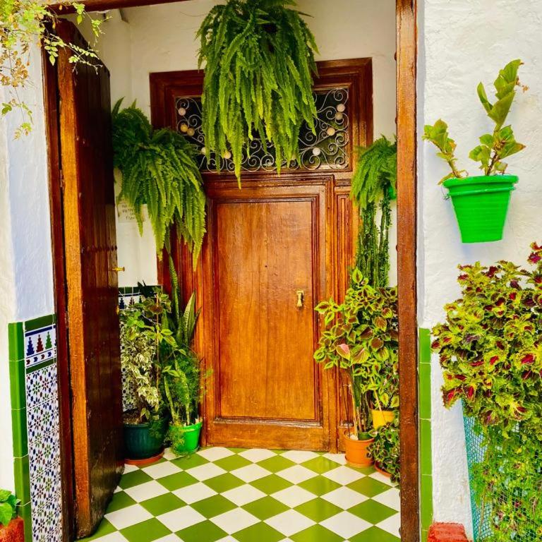 Residencia Jardin del Rio - Two-Bedroom Apartment - 36