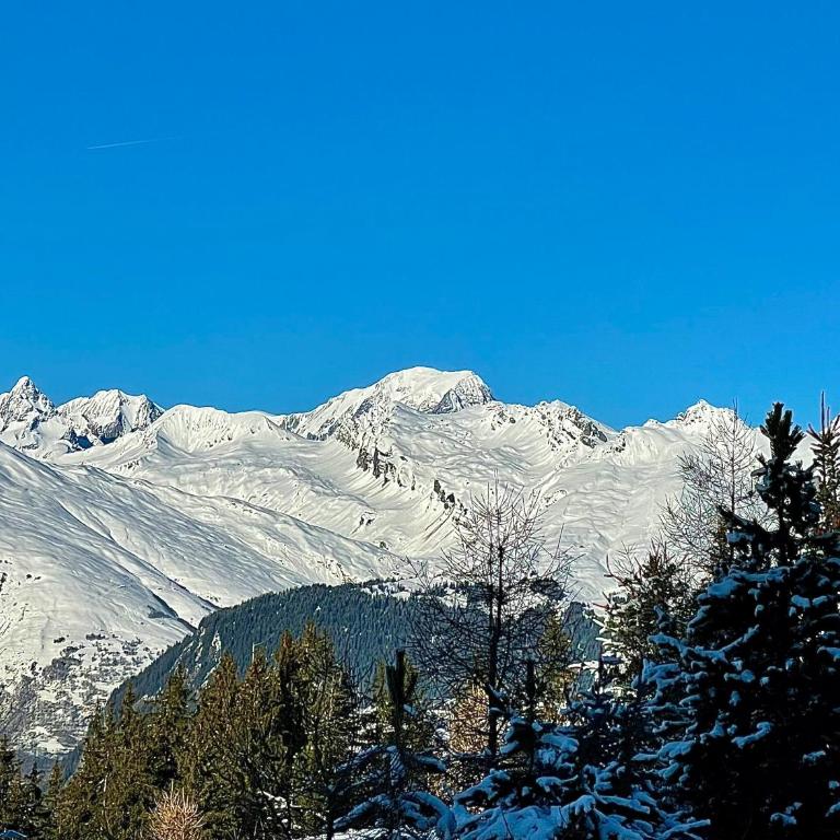Arc 1800, le Chalet Manaro avec sa vue panoramique - Chalet - 12