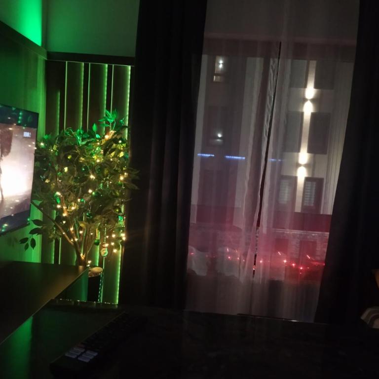 Divčinova1 Reset A2 - Apartman sa 1 Spavaćom Sobom - 11