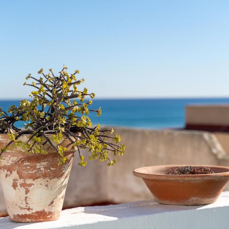 Beach Apartment Green Terrace La Mata - Apartamento - 31