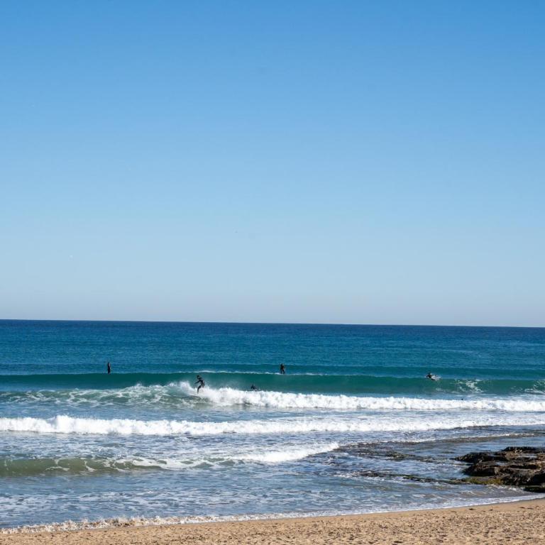 Beach Apartment Green Terrace La Mata - Apartamento - 52