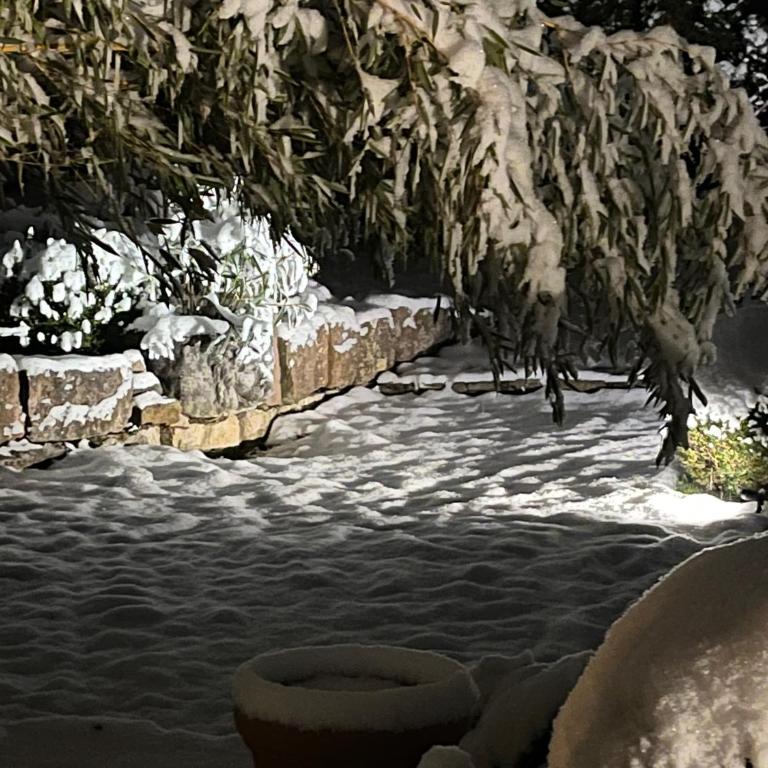 Glückliche Kuh-Villa - Achtsamer Rückzugsort mit Traumgarten, Schwimmteich & Raum zum Sein bis 18 Personen - Allgäu - Villa con Piscina Privata - 54