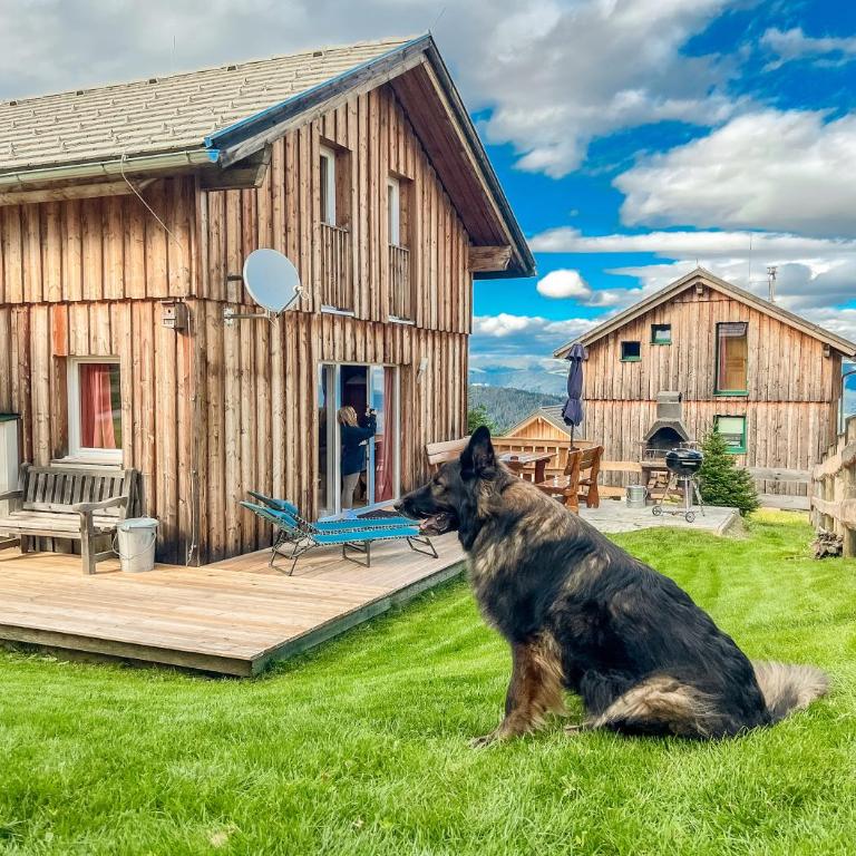1A Chalet Nest - Grillen, Wandern, Panorama Sauna! - Chalet con 3 Camere da Letto - 47