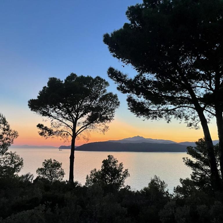 Villa Madonna delle Grazie con accesso privato al mare - Goelba - Villa con Vista Mare - 66