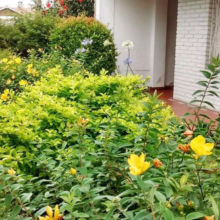 Mar del Plata Apt. De La Loma Temporary Rental - Apartamento de 3 dormitorios - 2