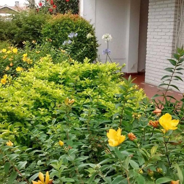 Mar del Plata Apt. De La Loma Temporary Rental - Apartamento de 3 dormitorios - 20