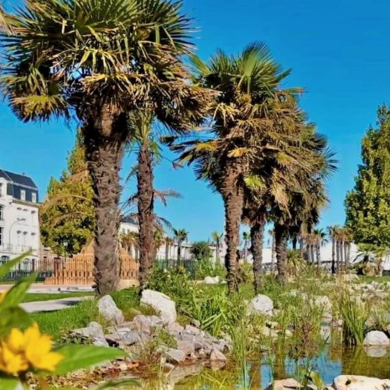 Cocon lumineux proche de la ville fortifiée et de Nausicaa - Appartement - 32
