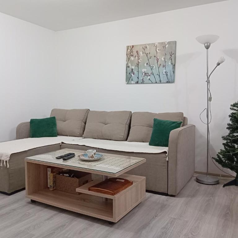 Apartman Žujan - Apartman sa 1 Spavaćom Sobom - 2