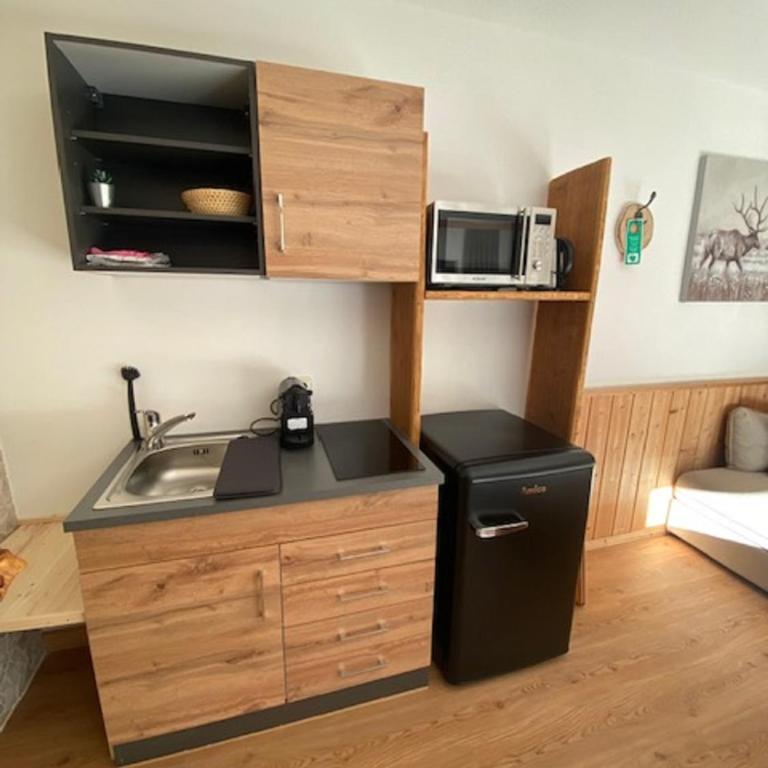Alpenappartements Schwalbennestl - Studio - 2
