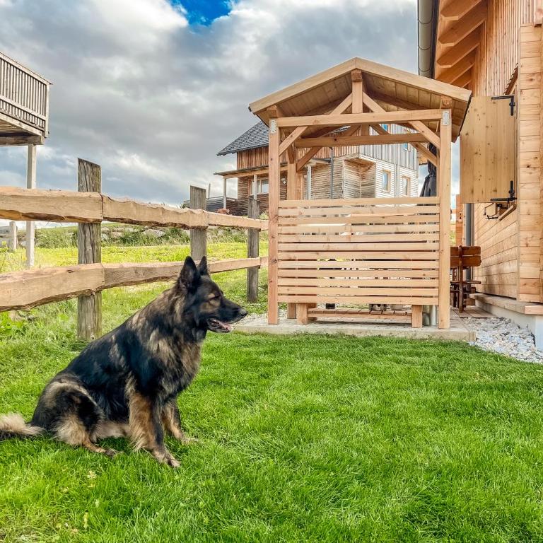 1A Chalet 'Horst' Wandern, Grillen, Panorama Sauna! - Chalet con 3 Camere da Letto - 43