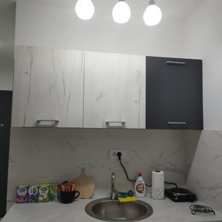 Apartman Vasilije - Apartman sa 1 Spavaćom Sobom - 6