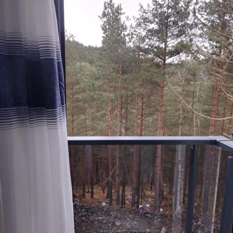 Apartman Vasilije - Apartman sa 1 Spavaćom Sobom - 5