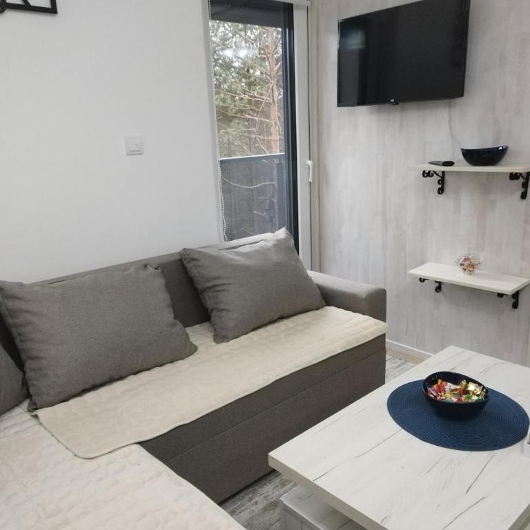Apartman Vasilije - Apartman sa 1 Spavaćom Sobom - 3