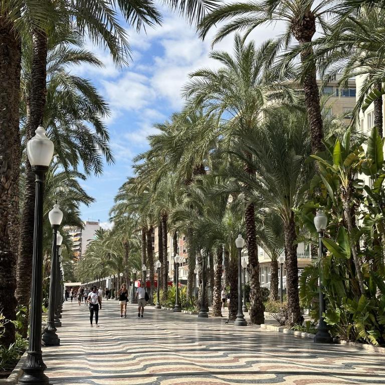 Canalejas Apartment - Alicante City - Apartamento de 2 dormitorios - 46